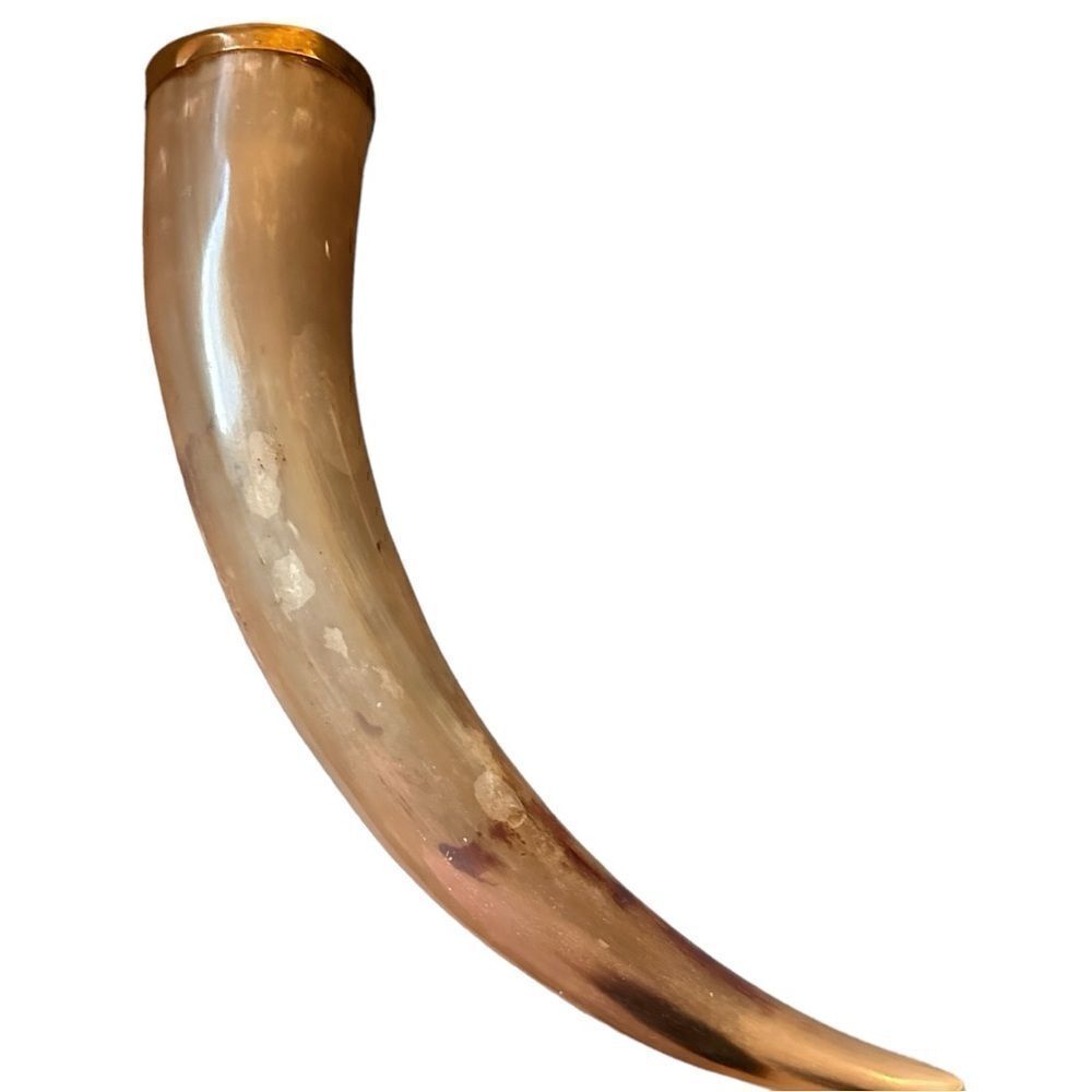 Handcrafted Natural Viking Beer Horn 16"Medieval Drinking Vessel Brass O…